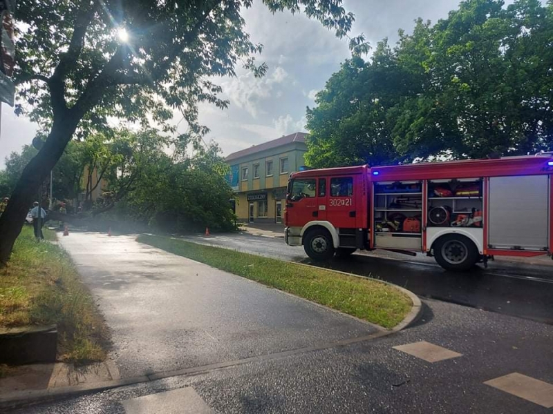 4/27 Skutki wichury w Gorzowie