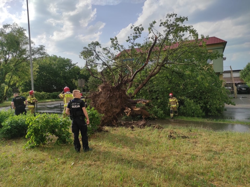 8/27 Skutki wichury w Gorzowie