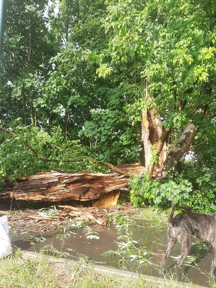 9/27 Skutki wichury w Gorzowie