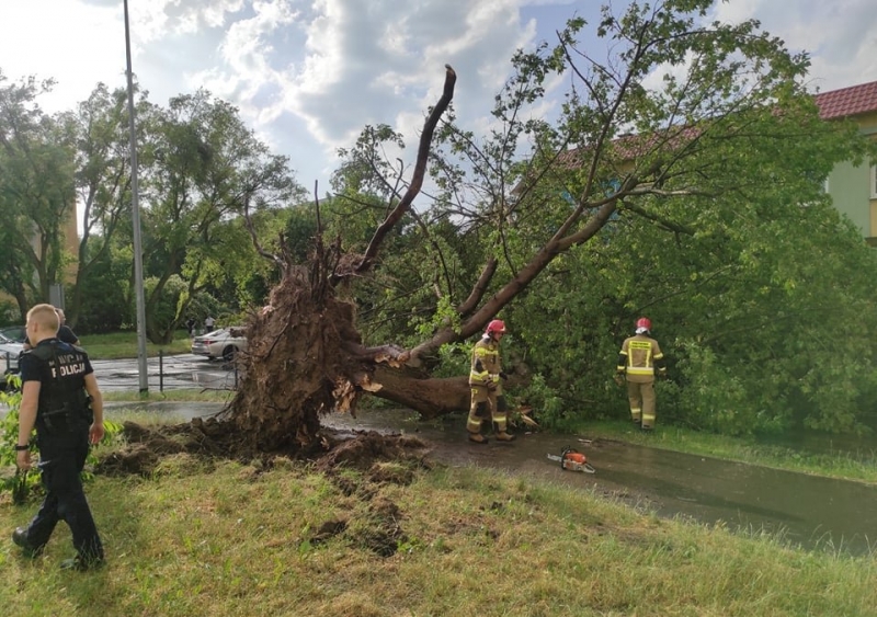 10/27 Skutki wichury w Gorzowie