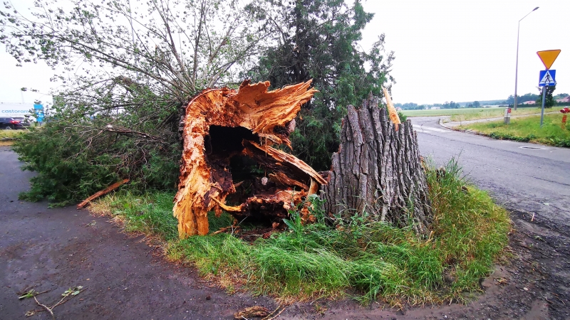 11/27 Skutki wichury w Gorzowie