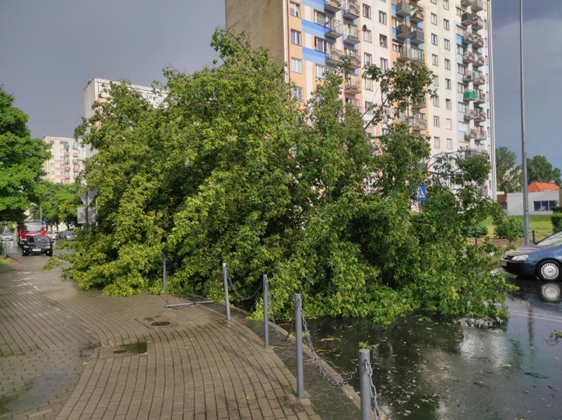 12/27 Skutki wichury w Gorzowie