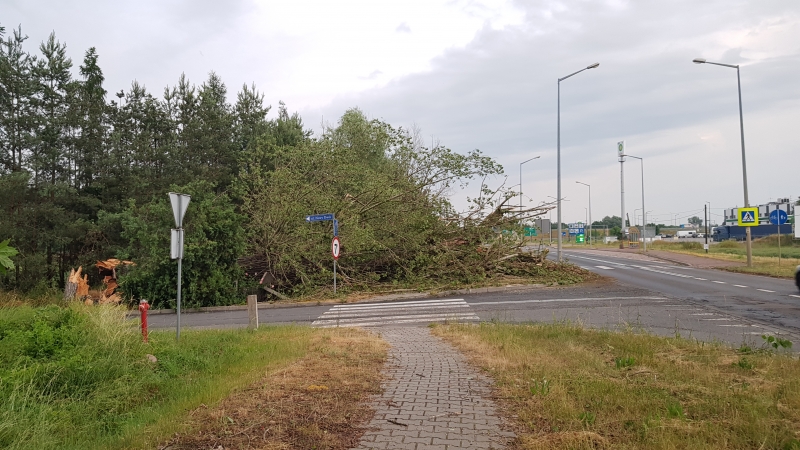 15/27 Skutki wichury w Gorzowie