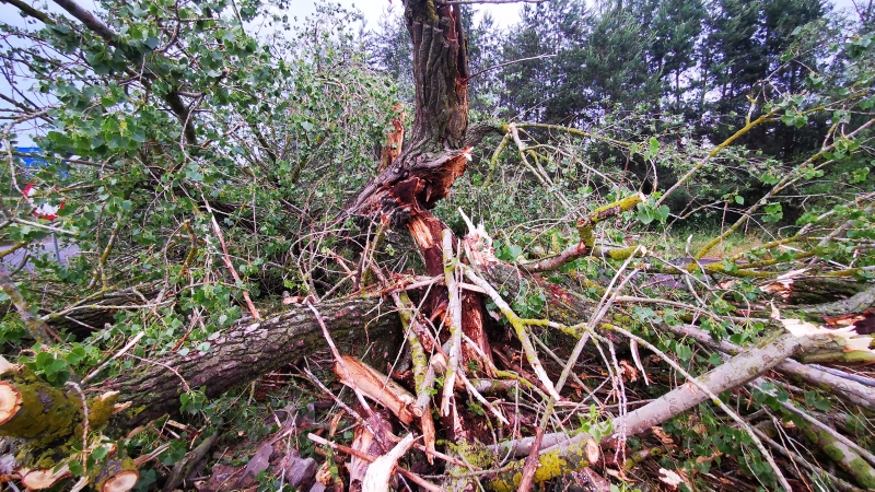 17/27 Skutki wichury w Gorzowie