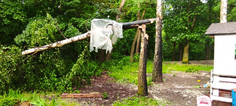 20/27 Skutki wichury w Gorzowie