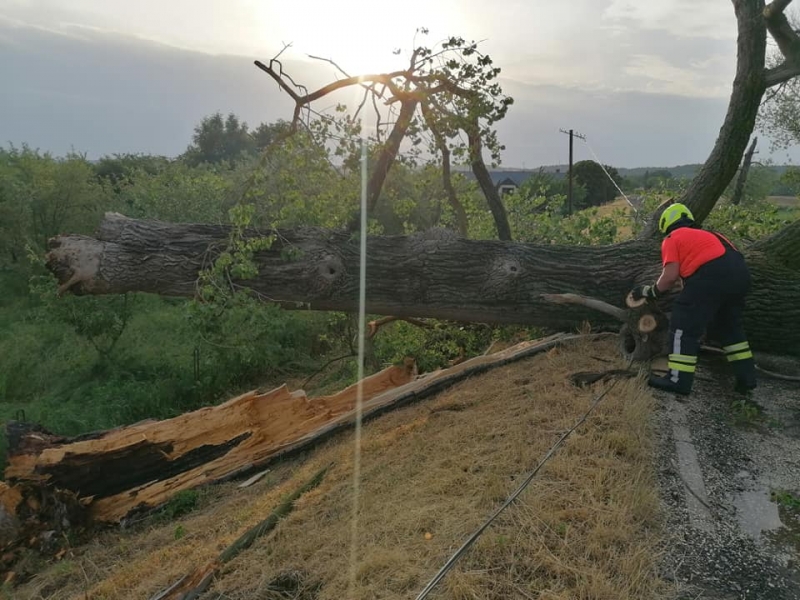 22/27 Skutki wichury w Gorzowie