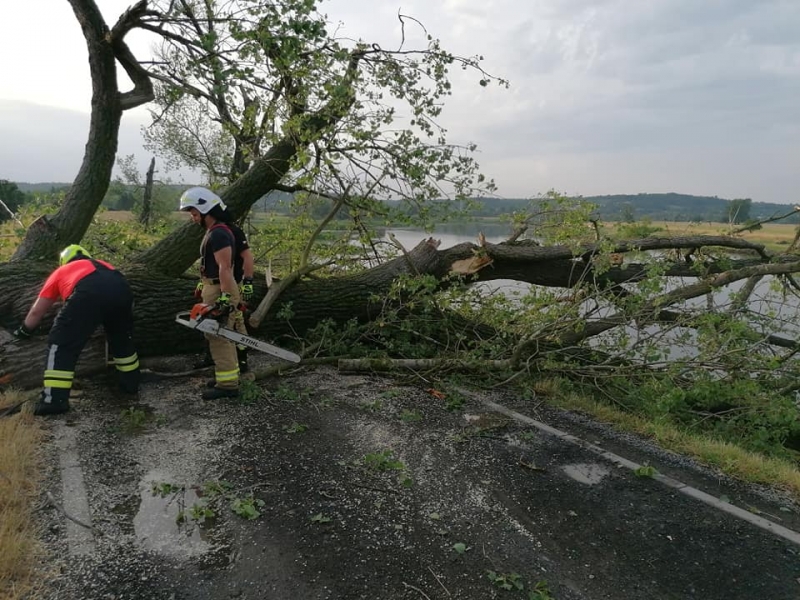 24/27 Skutki wichury w Gorzowie