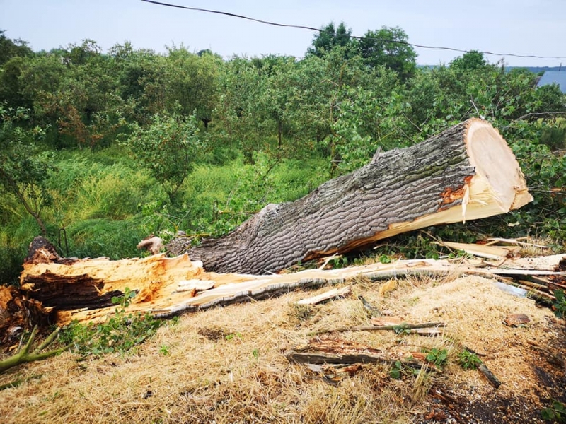 26/27 Skutki wichury w Gorzowie