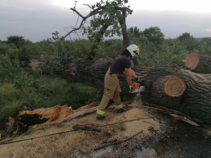 27/27 Skutki wichury w Gorzowie