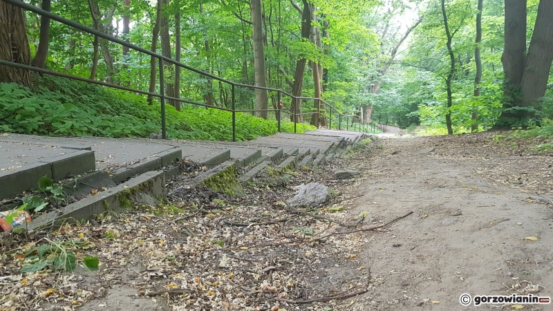 4/6 Schody w parku Słowiańskim od strony Marcinkowskiego