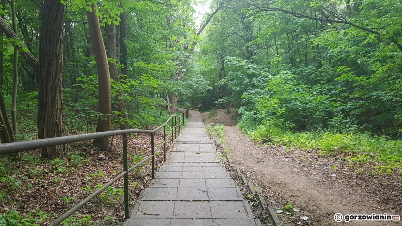 5/6 Schody w parku Słowiańskim od strony Marcinkowskiego