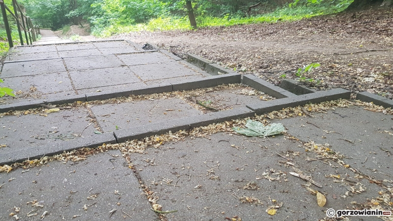 6/6 Schody w parku Słowiańskim od strony Marcinkowskiego