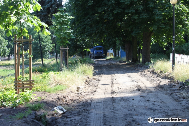 2/33 Tak wygląda obecnie park Róż