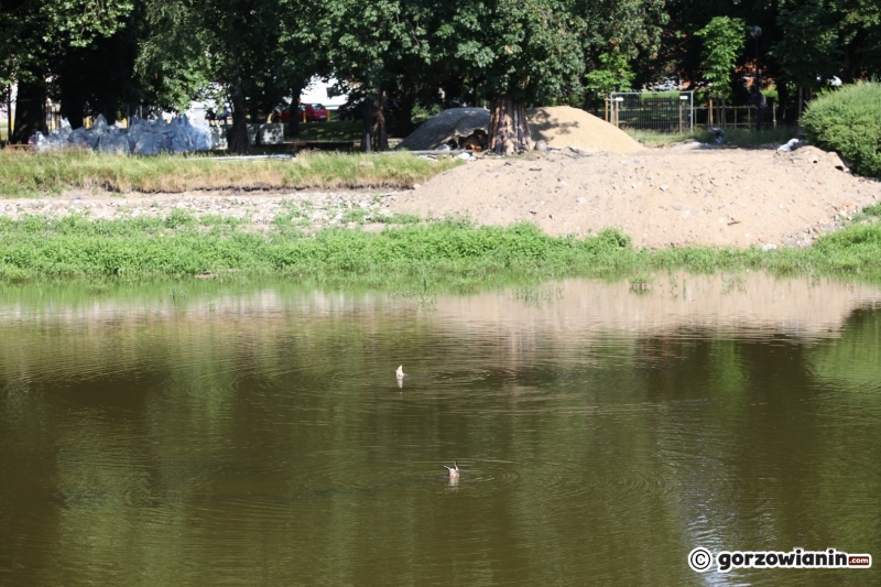 4/33 Tak wygląda obecnie park Róż