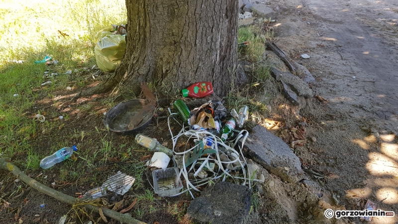 7/33 Tak wygląda obecnie park Róż