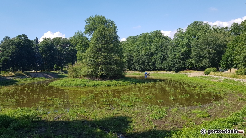 11/33 Tak wygląda obecnie park Róż