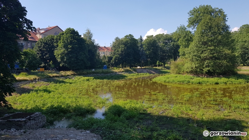 12/33 Tak wygląda obecnie park Róż