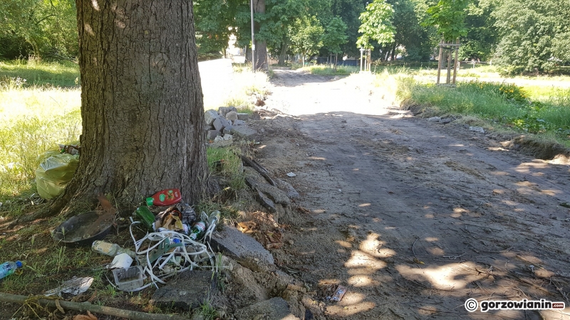 13/33 Tak wygląda obecnie park Róż