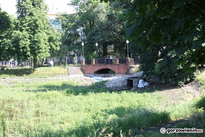 18/33 Tak wygląda obecnie park Róż