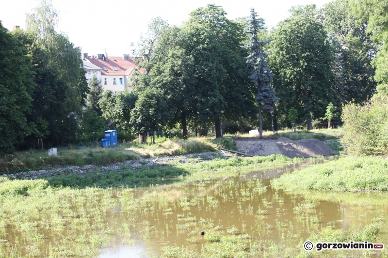 19/33 Tak wygląda obecnie park Róż