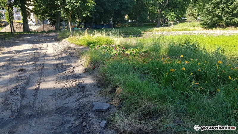 21/33 Tak wygląda obecnie park Róż