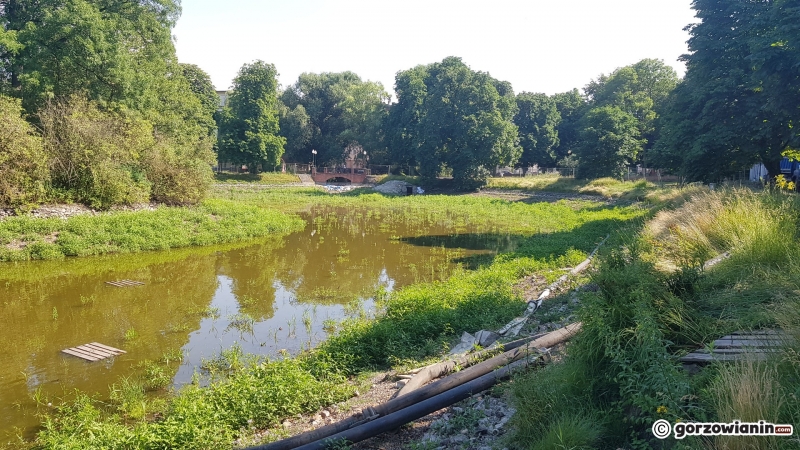 22/33 Tak wygląda obecnie park Róż