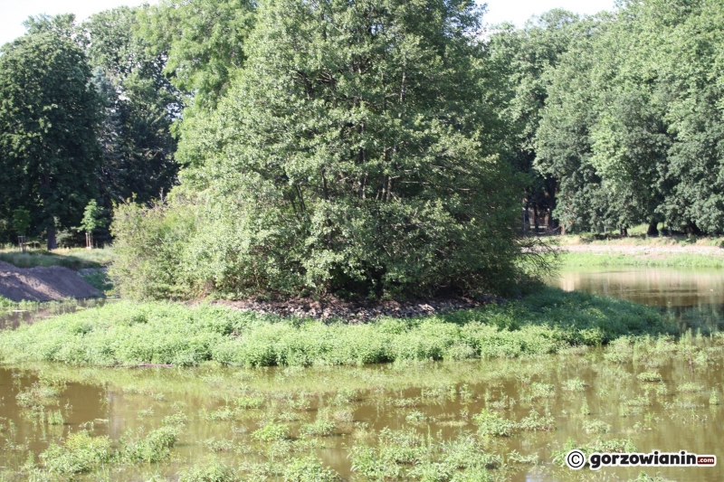 23/33 Tak wygląda obecnie park Róż