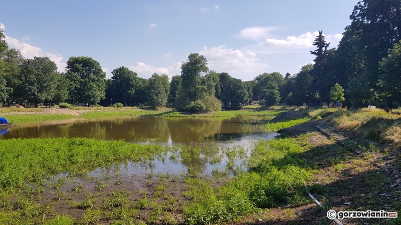 24/33 Tak wygląda obecnie park Róż