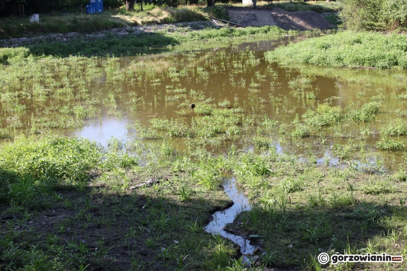 27/33 Tak wygląda obecnie park Róż