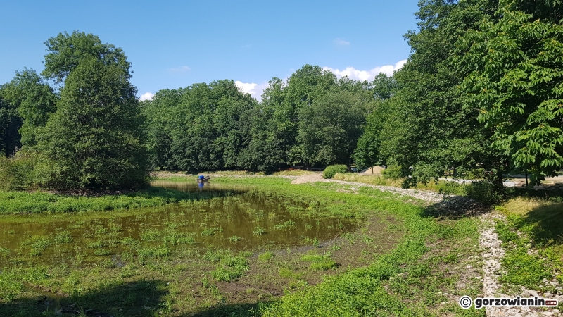 28/33 Tak wygląda obecnie park Róż