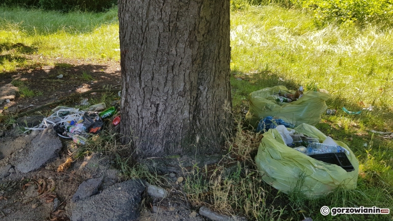 31/33 Tak wygląda obecnie park Róż