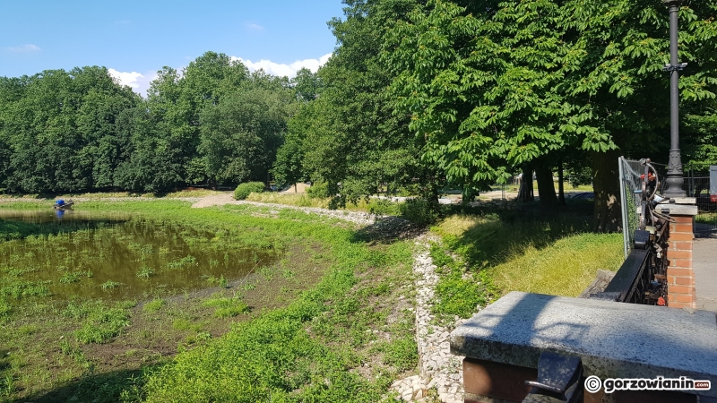 32/33 Tak wygląda obecnie park Róż