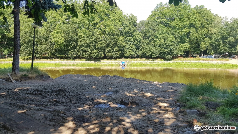 33/33 Tak wygląda obecnie park Róż