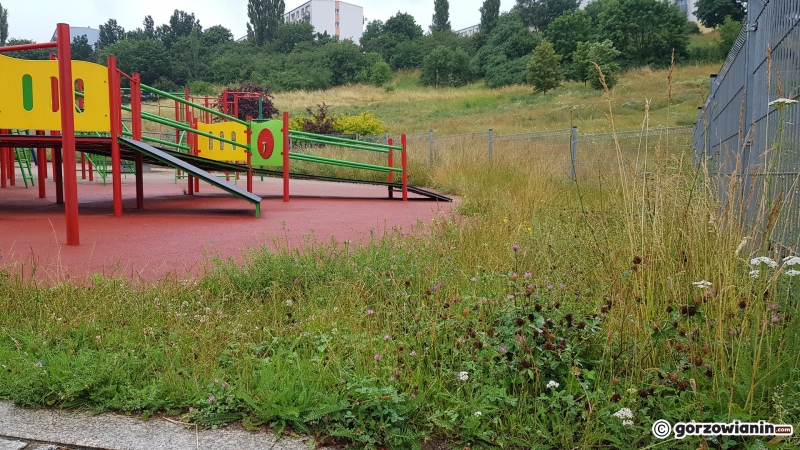 7/11 Zarośnięty plac zabaw przy Filharmonii Gorzowskiej