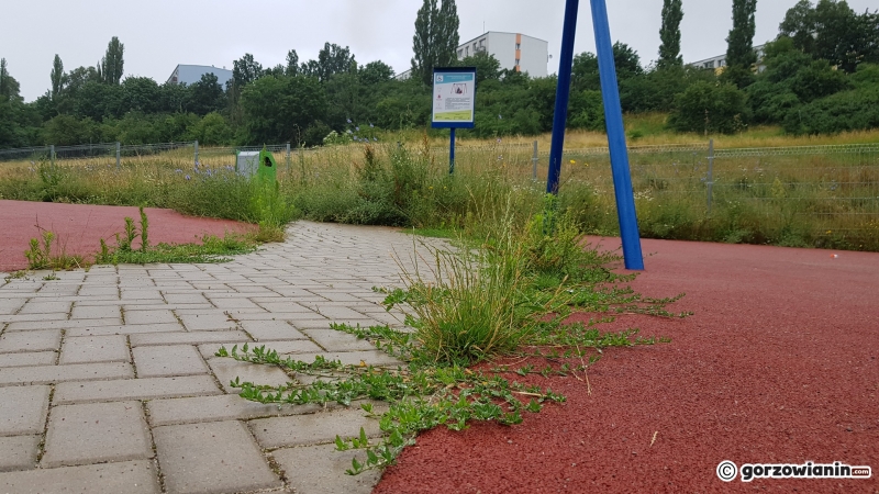 9/11 Zarośnięty plac zabaw przy Filharmonii Gorzowskiej