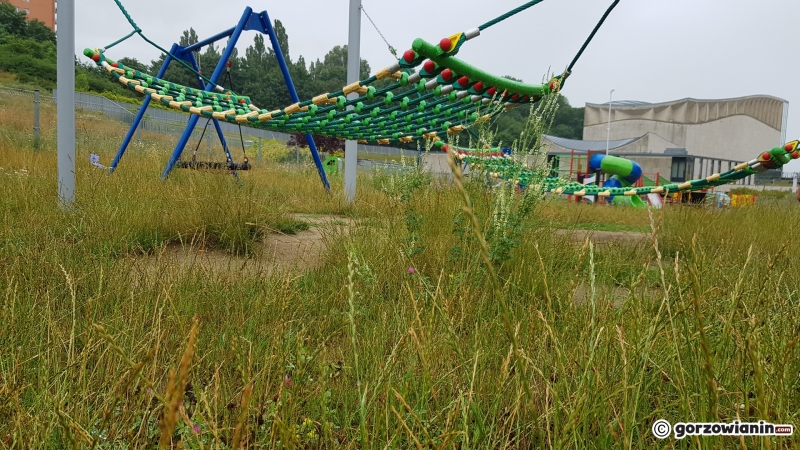 11/11 Zarośnięty plac zabaw przy Filharmonii Gorzowskiej