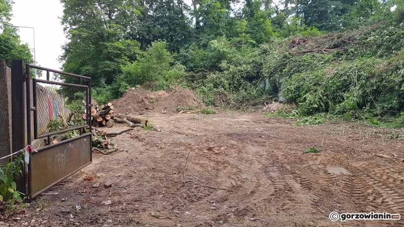 4/8 Rozbiórka piwnic Ehrenberga przy Walczaka