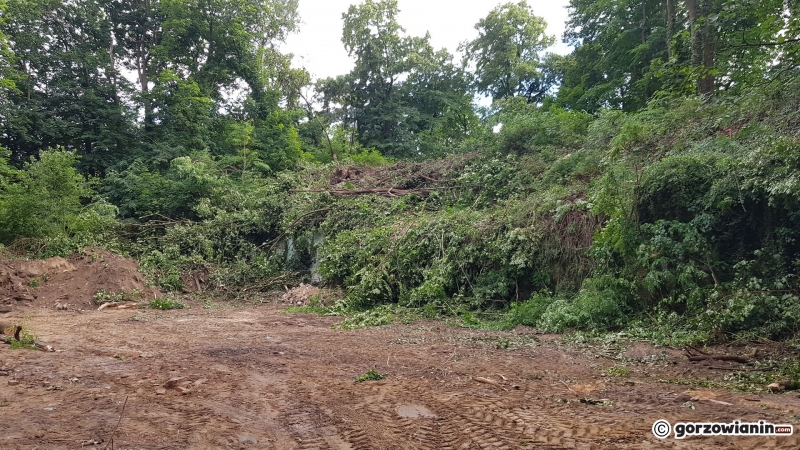 5/8 Rozbiórka piwnic Ehrenberga przy Walczaka