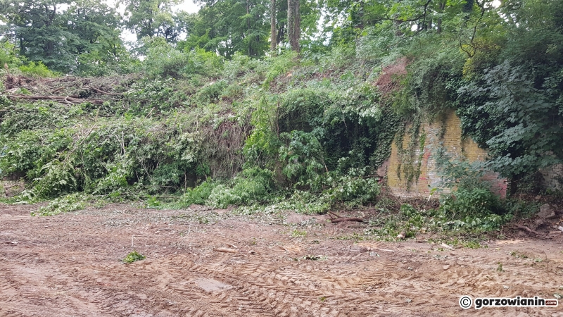 6/8 Rozbiórka piwnic Ehrenberga przy Walczaka