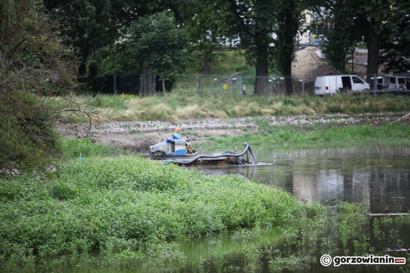 5/9 Odmulanie stawu w parku Róż