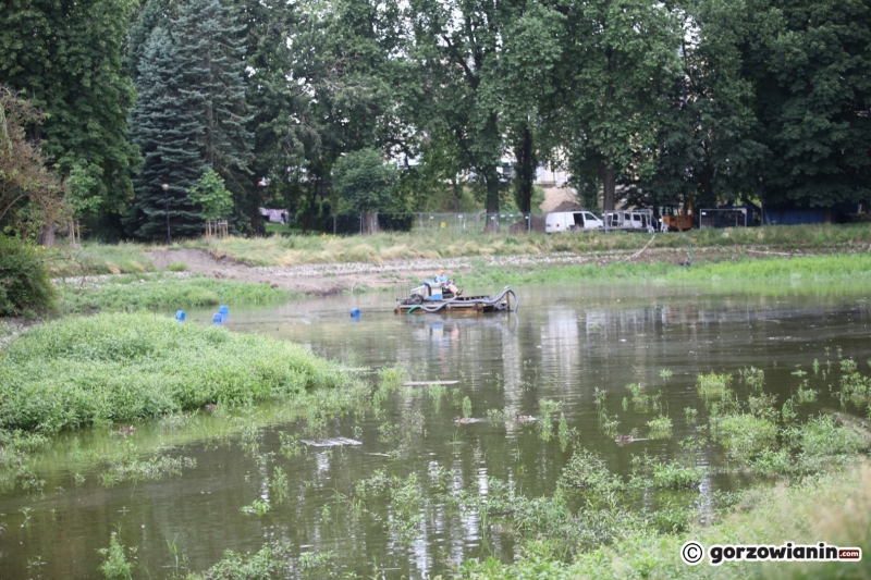 6/9 Odmulanie stawu w parku Róż