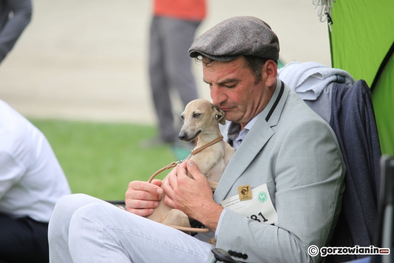 26/57 52. Gorzowska Krajowa Wystawa Psów Rasowych