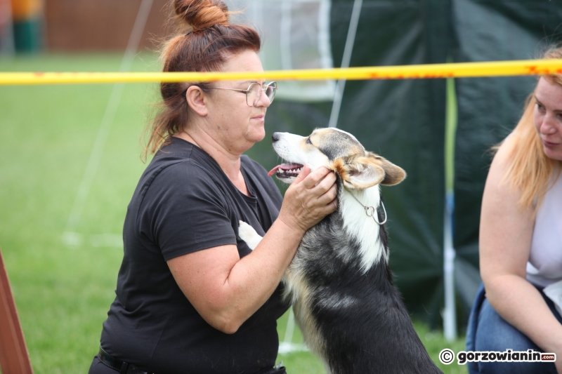 28/57 52. Gorzowska Krajowa Wystawa Psów Rasowych
