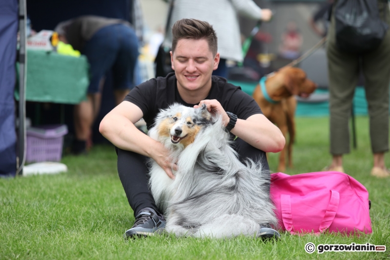 45/57 52. Gorzowska Krajowa Wystawa Psów Rasowych
