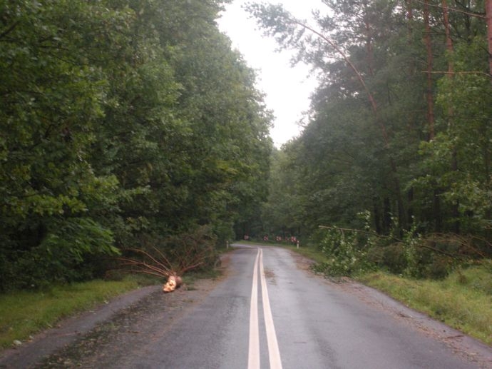 1/13 Skutki niedzielnej nawałnicy