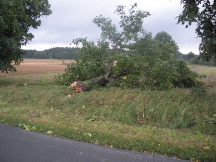 3/13 Skutki niedzielnej nawałnicy