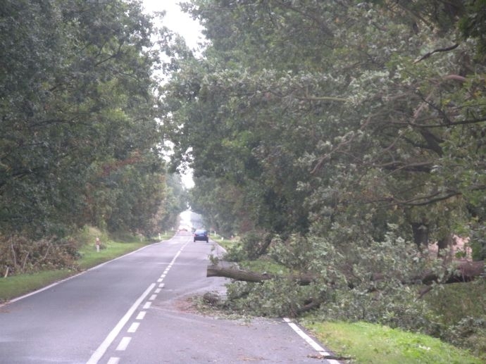 8/13 Skutki niedzielnej nawałnicy