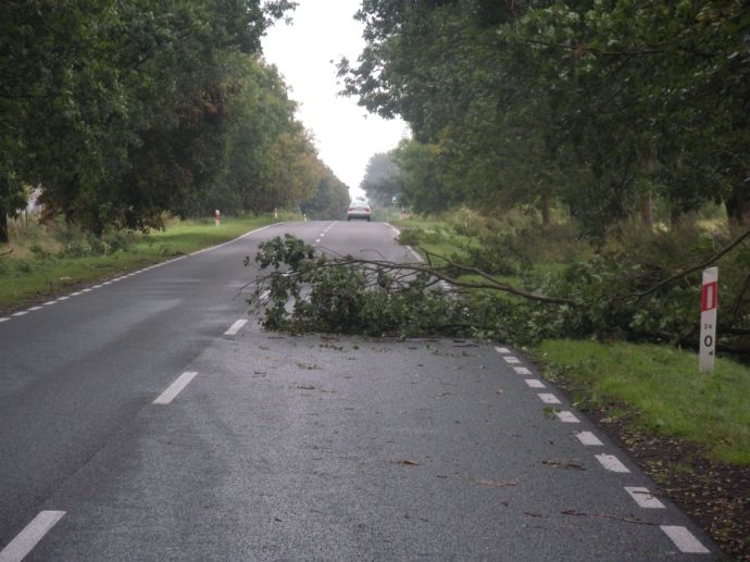 9/13 Skutki niedzielnej nawałnicy
