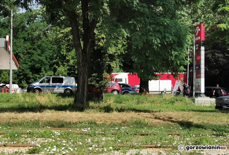 5/5 Policyjne poszukiwania broni przy Al. 11 Listopada