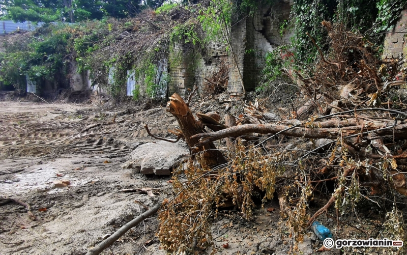 5/13 Rozbiórka dawnej leżakowni piwa, czyli piwnic Ehrenberga wstrzymana